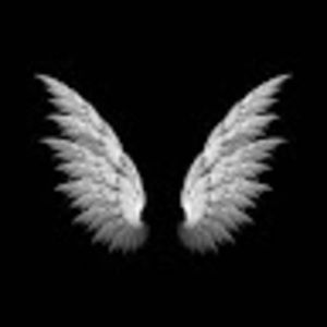 Meet your Posher, Rosie